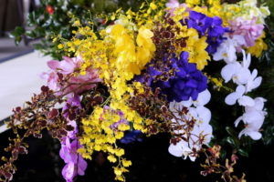 １２月２８日生まれの誕生花と花言葉 花の案内人 花言葉と誕生花